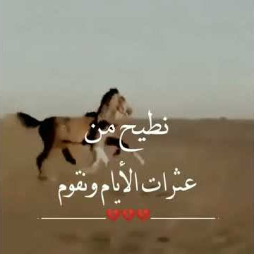 قصايد قوية من قصايد عزة النفس