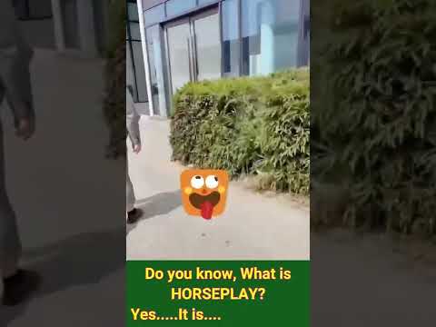 Horseplay at work