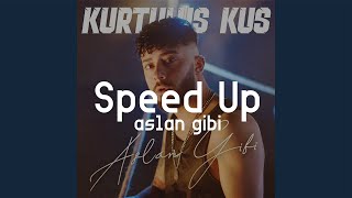 Kurtuluş Kuş - Aslan Gibi  (SPEED UP) Resimi