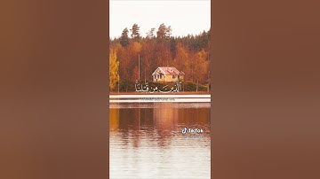 لَا يُكَلِّفُ ٱللَّهُ نَفۡسًا إِلَّا وُسۡعَهَا | ماهر المعيقلي اواخر سورة البقرة #قران_كريم #اكسبلور