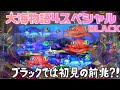 『大海物語4スペシャルBLACK』BLACKでこのチャンス目になるの?!