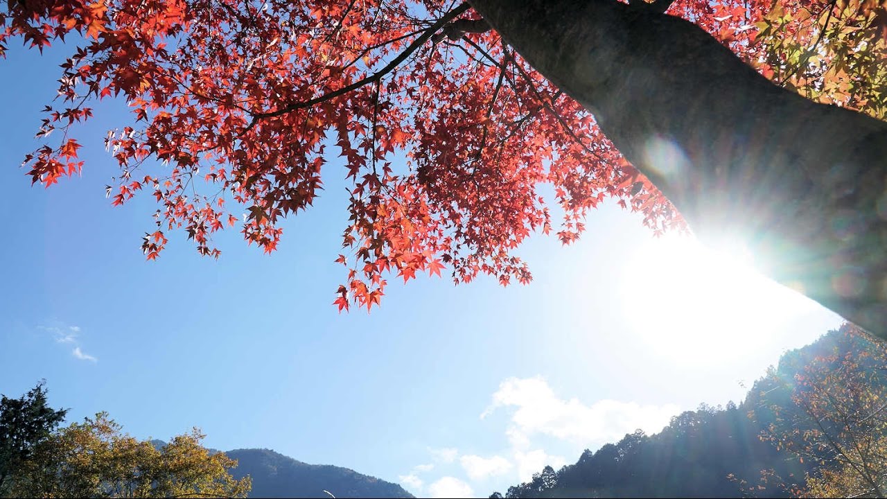 付知峡の紅葉 Youtube