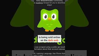 If you ever used Duolingo, WATCH THIS. screenshot 5