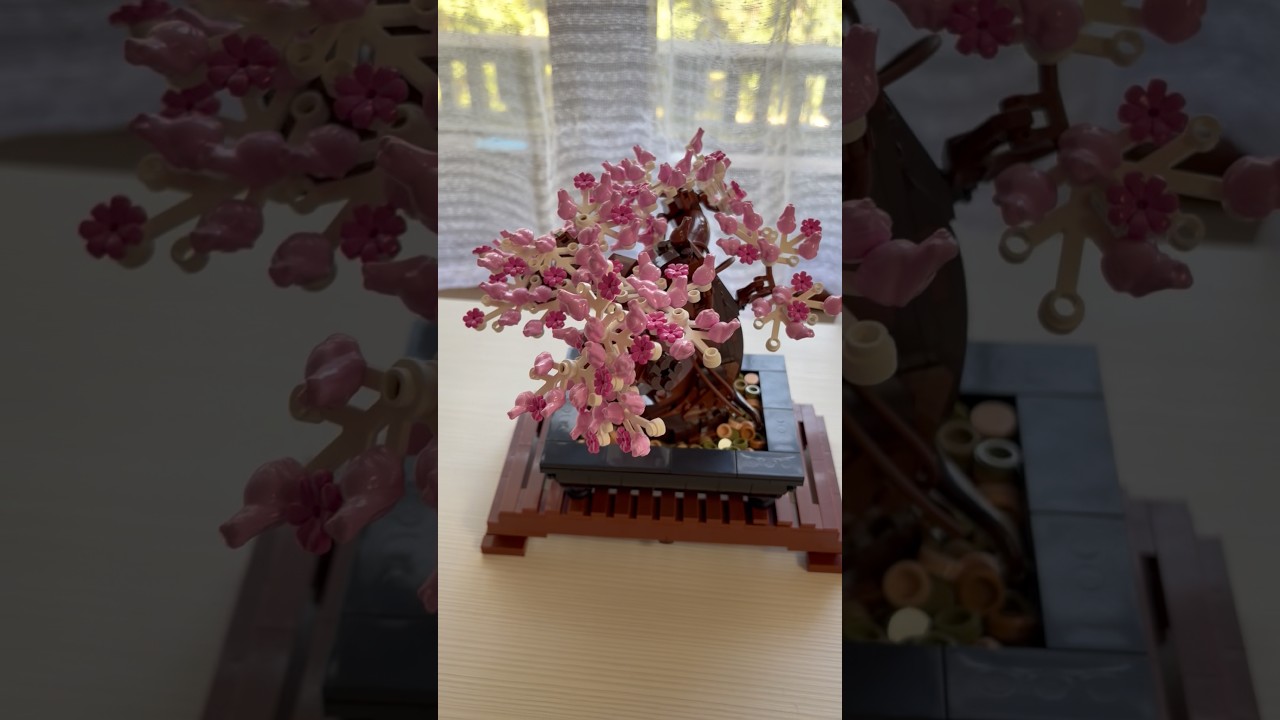 LEGO Icons 10281 Bonsai Tree! - YouTube