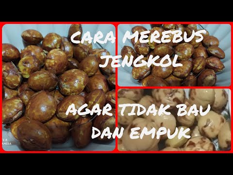 pada umumnya jengkol memang bau ya bund,Kalo tdk bau bukan jengkol namanya hihihi. di video kali ini. 