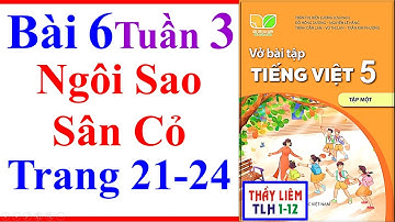 Vở Bài Tập Tiếng Việt Lớp 5 Bài 6 Tuần 3 | Ngôi Sao Sân Cỏ | Trang 21 - 24 | Kết Nối Tri Thức