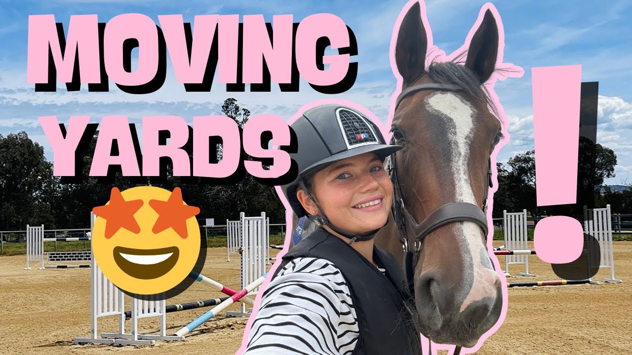MOVING YARDS WITH FLEUR | FIFIS WELSH PONIES 