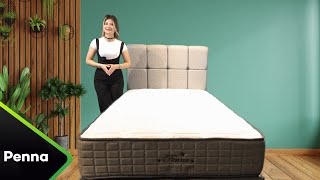 Bedline Penna Yatak-Baza-Başlık
