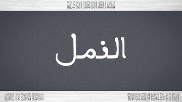 027 HD القرآن سورة النمل ورش القارئ محمد الكنتاوي