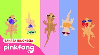 Download lagu Kumpulan Lagu Cicak | Lima Cicak Kecil, Cicak di dinding | Lagu Anak Indonesia Pinkfong