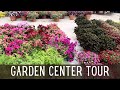 Garden center tour  home grown plants   summer annuals  shopping for perennial plants