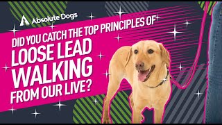 Did You Catch The Top Principles of Loose Lead Walking From Our Live?