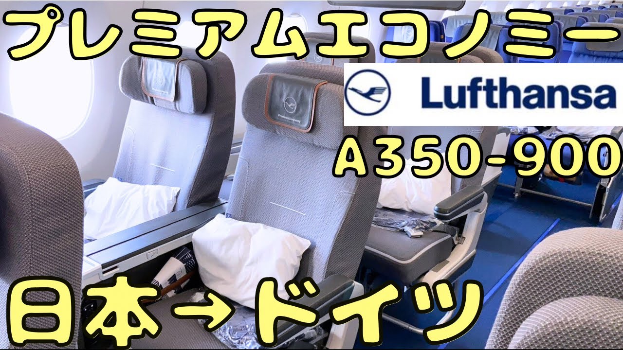 Perican ボールペンとルフトハンザドイツ航空名刺入れのセット Perican ボールペンとルフトハンザドイツ航空名刺入れのセット
