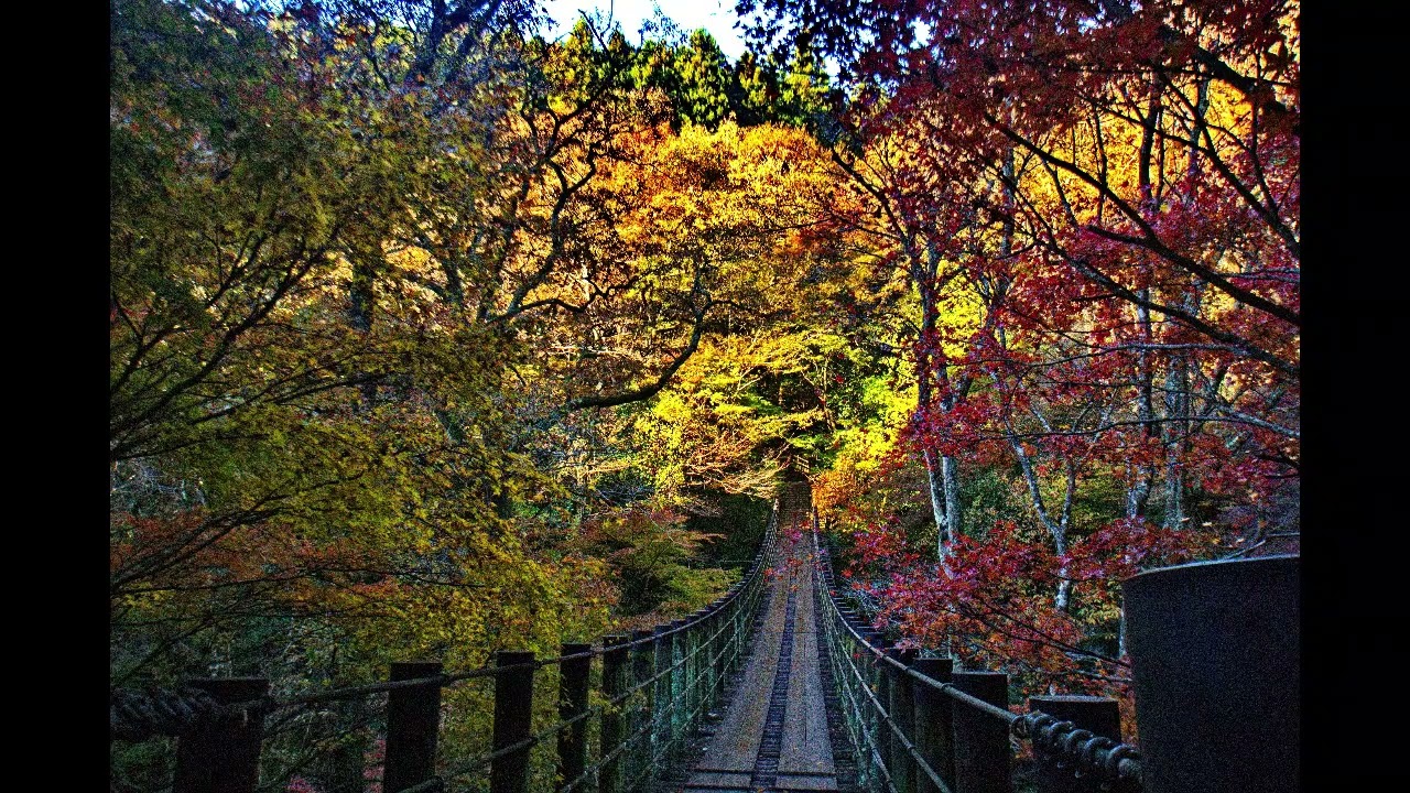 感激を求めて 花貫渓谷（はなぬきけいこく）の紅葉 11月20日 茨城県 