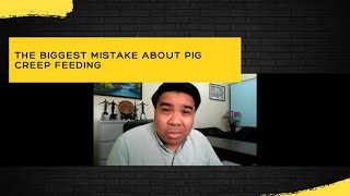 The biggest mistake about pig creep feeding - Dr. Rommel Sulabo