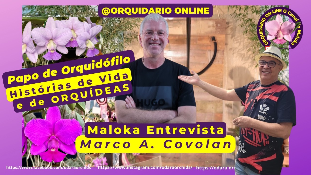 Maloka Entrevista 😜 Marco Covolan 