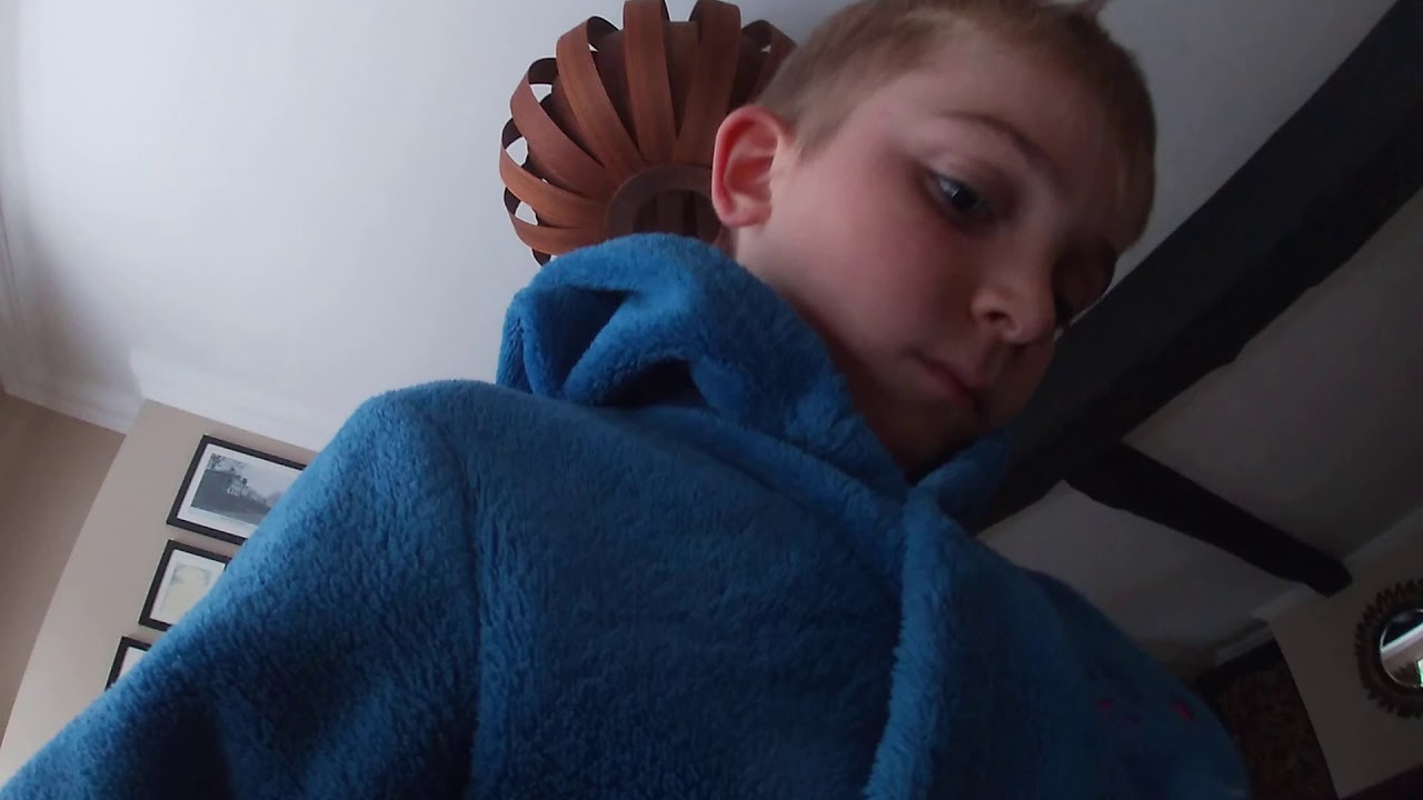 Cat box fort part 4 YouTube