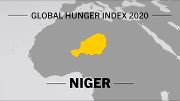 Global Hunger Index 2020 (GHI) - Niger