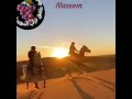 بيا ولا بيك ريت الوجع يازين
