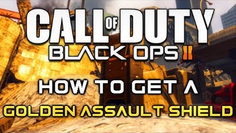 Black Ops 2 Tips - How To Get a Gold Assault Shield (Camo Unlock Tutorial)