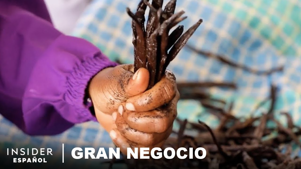 Si la vainilla es la segunda especia más cara, ¿por qué los agricultores de Madagascar son pobres?