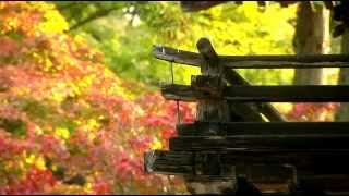 京都の紅葉.  Autumn colors in Kyoto.