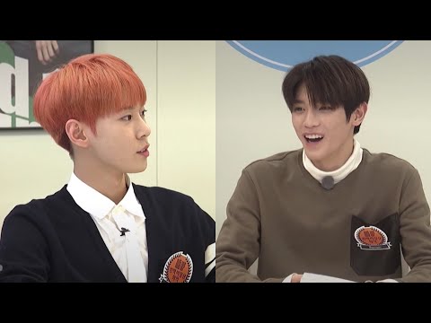 [NCT 태용 도영] 나 이거 때문에 이 조합 입덕