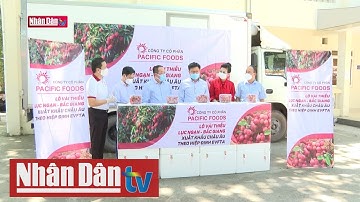 Cơ hội rộng mở cho vải thiều Bắc Giang tại thị trường châu Âu