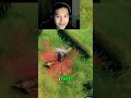 Died to a Boar  Unbelievable Animal Encounter! #gaming #survivalgames #valheim