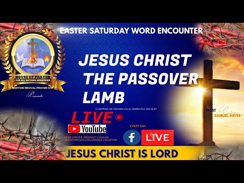 Passover Ritual Unveiled Why Anoint The Lamb With Oil