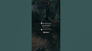 القران الكريم #المصحف #اكسبلور #maroc #explore #الرحمن #لايك #quran #ترند #راحة_نفسية