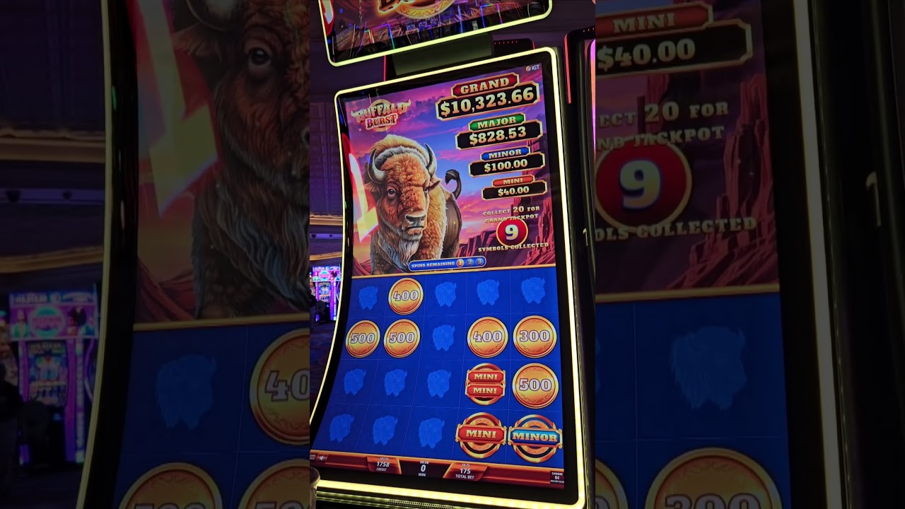 LOCK & SPIN ON BUFFALO BURST!!!!