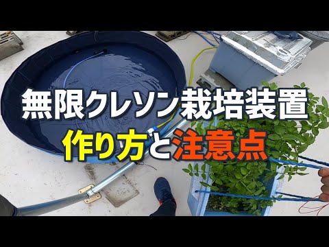 【再生栽培】無限クレソン水耕栽培装置の作り方と注意点