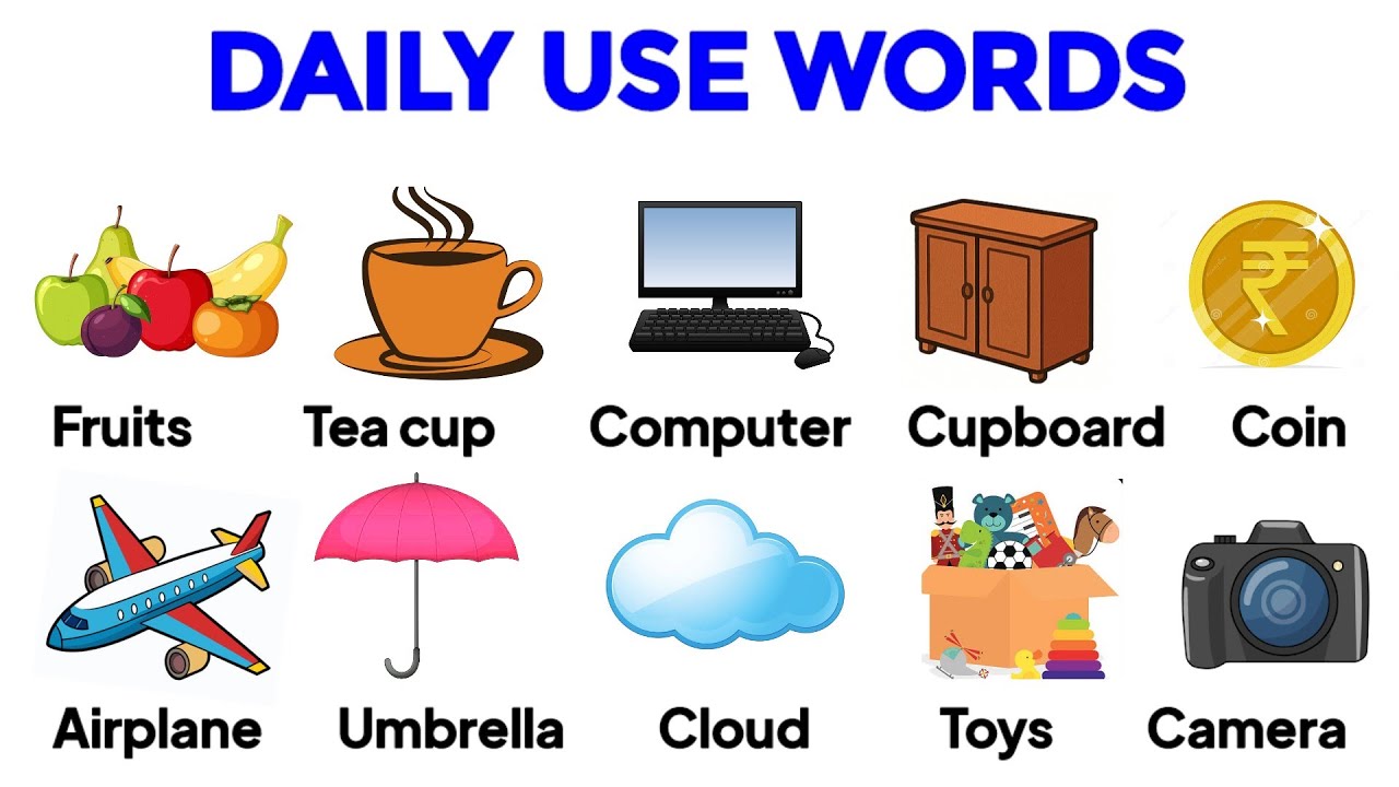 Daily Use Words in English | Daily use words Vocabulary with Pictures | English Words for Kids 