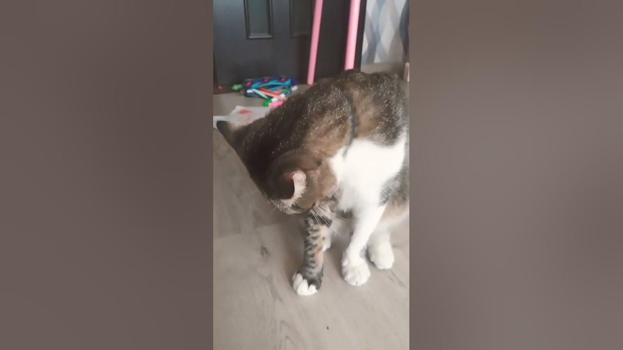 ж***😡😡😡 - YouTube