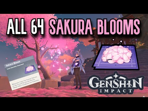 Video: Yuav Ua Li Cas Sakura Blooms