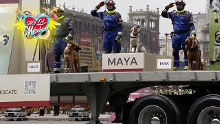 Desfile militar 2023: Ovacionan a los perros rescatistas de la Sedena
