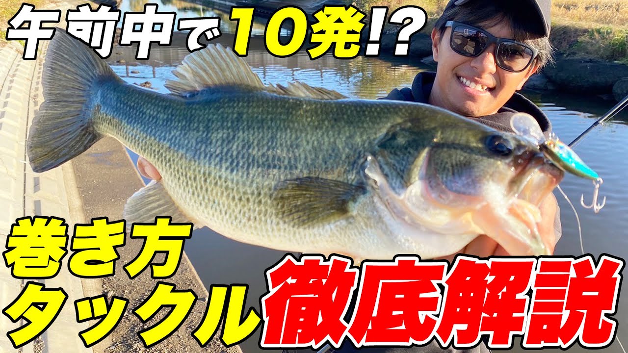 午前中だけで10発！一匹でも多く釣るためのキモを徹底解説【ソウルフェス】