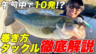フィッシング バス釣り引退セット2枚目以降もあります デラクー