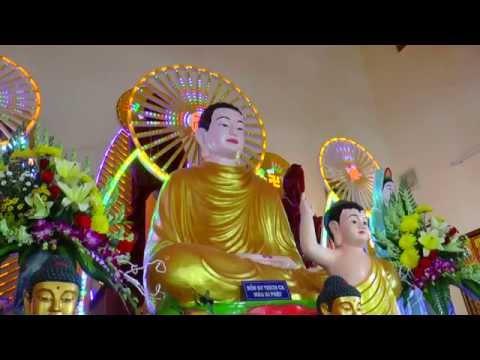 Video nét đẹp chùa bửu liên cây bàng tp cần thơ - youtube