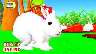 เพลงกระต่ายขาว| เพลงสำหรับเด็กอนุบาล by kidstvonline