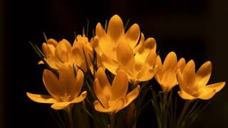 Download Lagu Lagu Cafe, Lagu Santai, Lagu Nostalgia, Lagu Indonesia Cover Terbaik  | Chill \u0026 Relaxing MP3