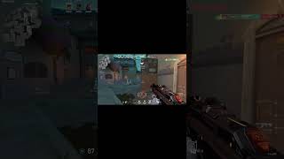 brim thought that he would save the day... #clips #edit #reyna #valorant