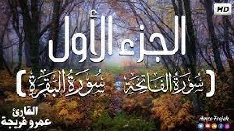 الجزء الاول من القرآن الكريم��   تلاوة هادئة  بصوت القارئ عمرو فريجة 1080p