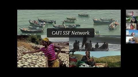 Global insurance experiences to increase small-scale aquaculture resilience