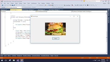 Display or Retrieve saved image from database using C#