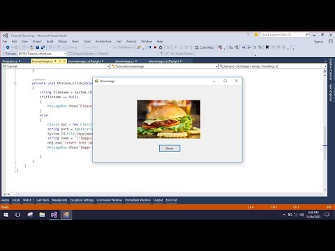 Display or Retrieve saved image from database using C#