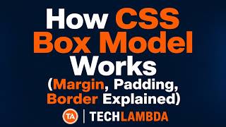 How CSS Box Model Works (Margin, Padding, Border Explained)