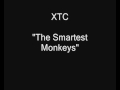 XTC - The Smartest Monkeys [HQ Audio]