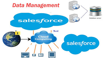 12  Data Management --  Salesforce Admin